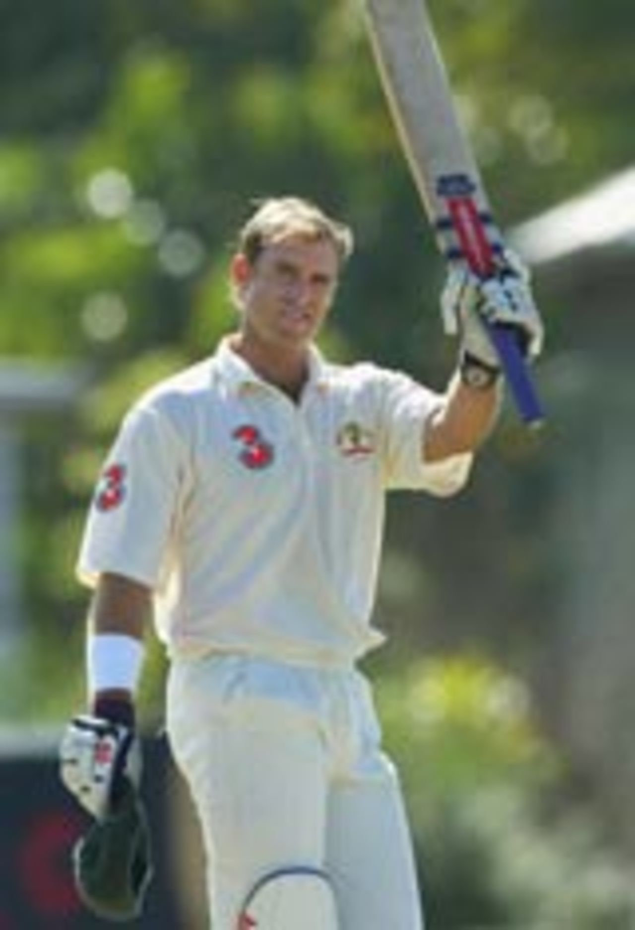 Matthew Hayden celebrates his hundred, Australia v Sri Lanka, 2nd Test, Cairns, 5th day, July 13, 2004