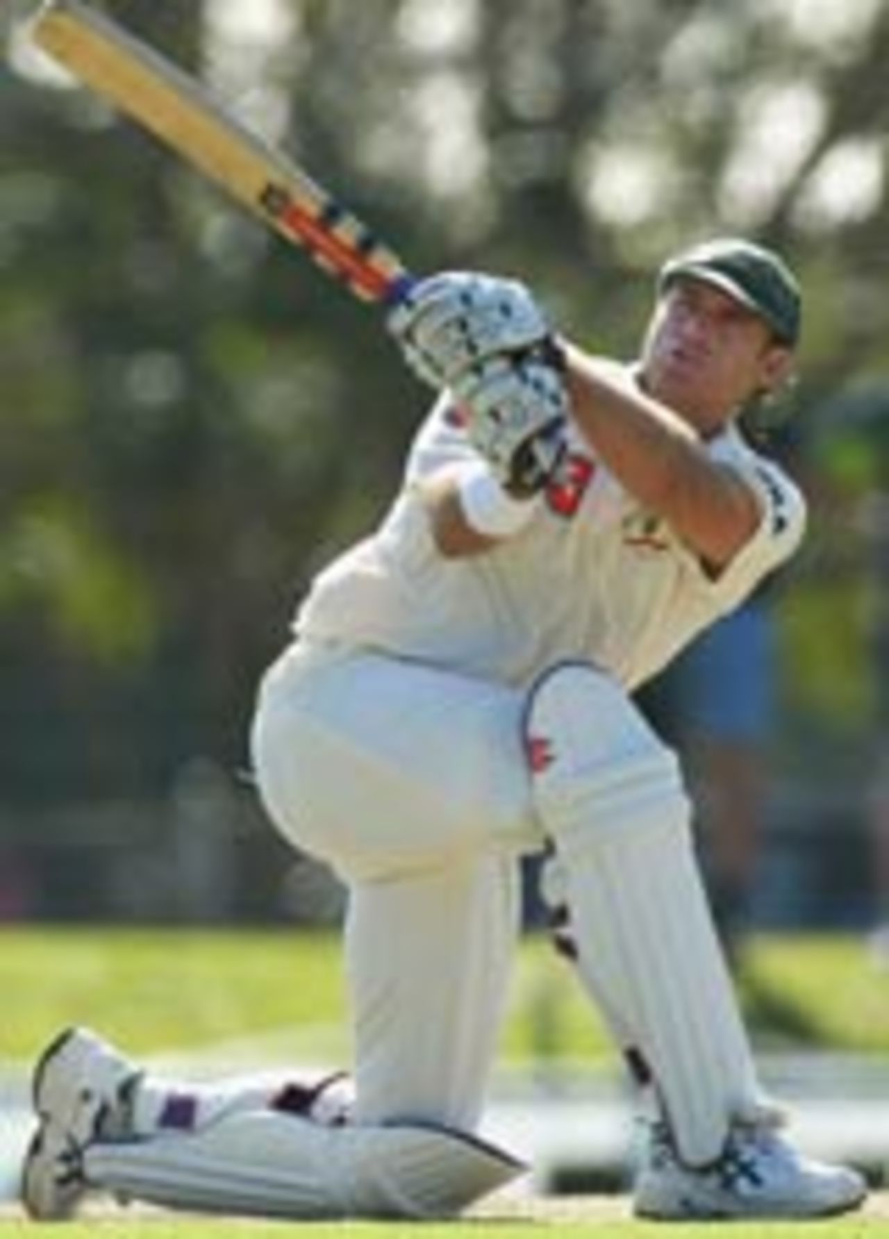 Matthew Hayden plays the slog-sweep, Australia v Sri Lanka, 2nd Test, Cairns, 5th day, July 13, 2004