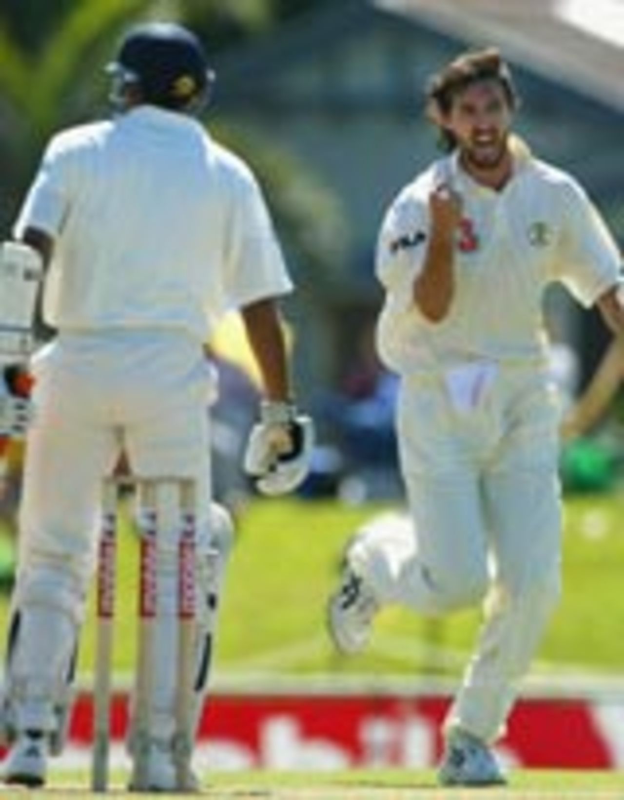 Jason Gillespie celebrates after nailing Marvan Atapattu, Australia v Sri Lanka, 2nd Test, Cairns, 5th day, July 13, 2004