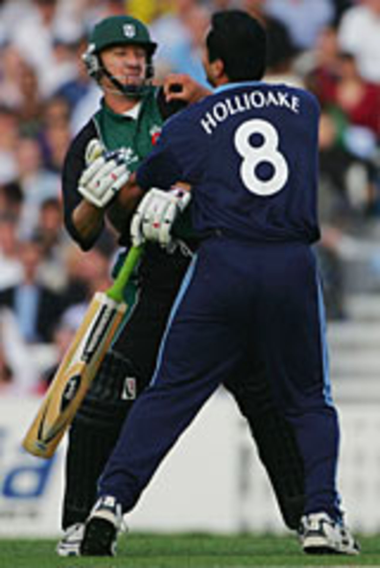 Adam Hollioake has a pretend punch-up with Andy Bichel, Surrey v Worcestershire, Twenty20, The Oval, July 19,2004