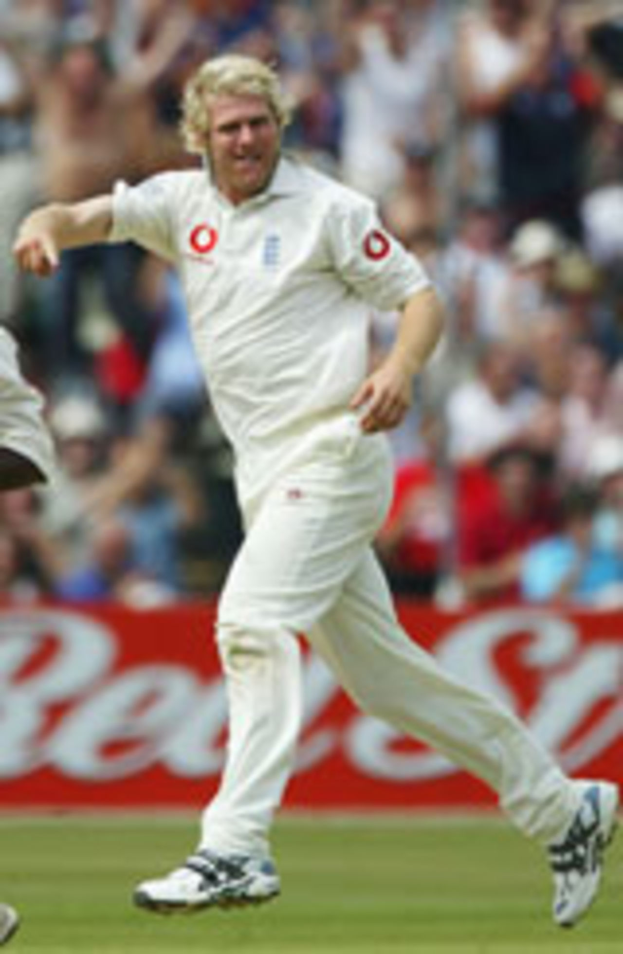 Matthew Hoggard celebrates the wicket of Ridley Jacobs, England v West Indies, 2nd Test, Edgbaston, July 31, 2004
