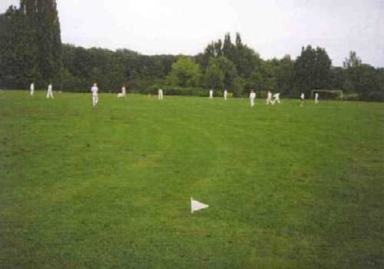 Mechelen Cricket Club, Belgium