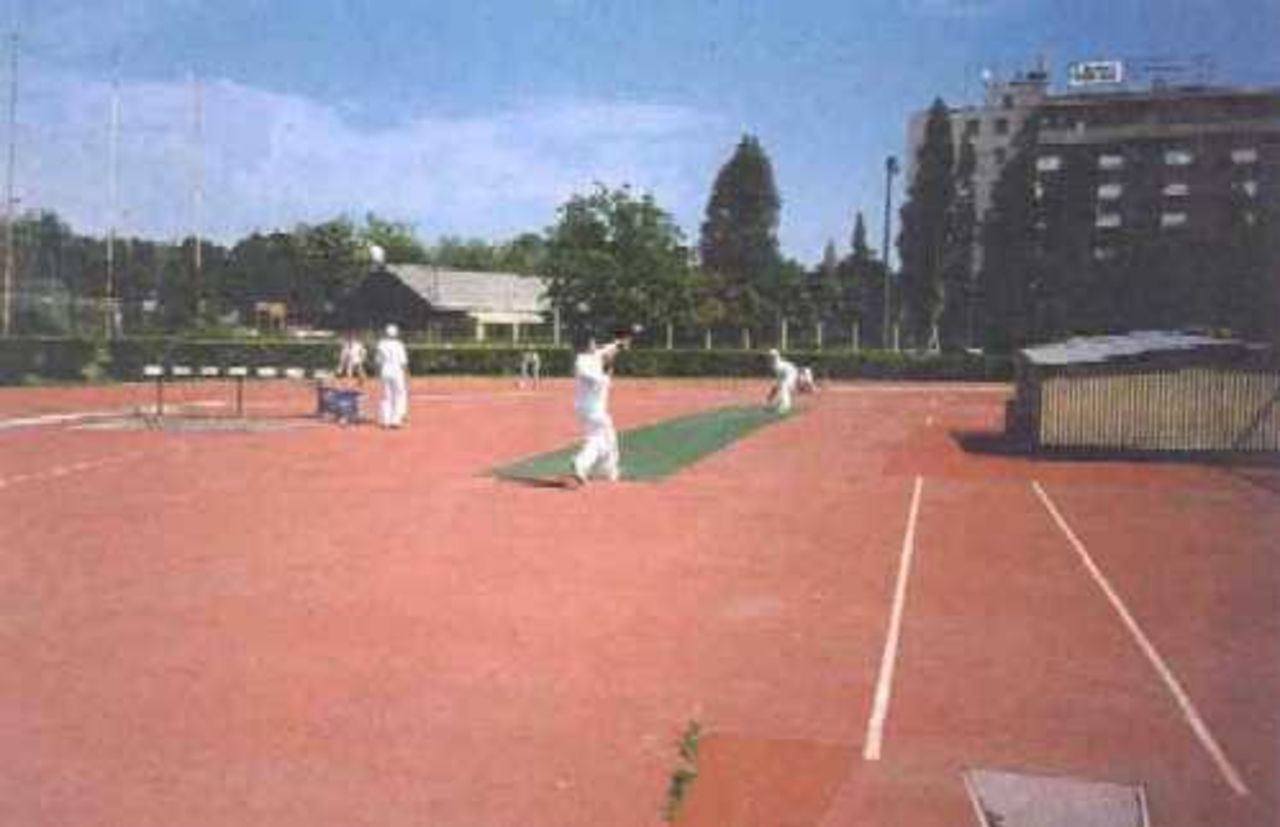 Cricket in Hungary