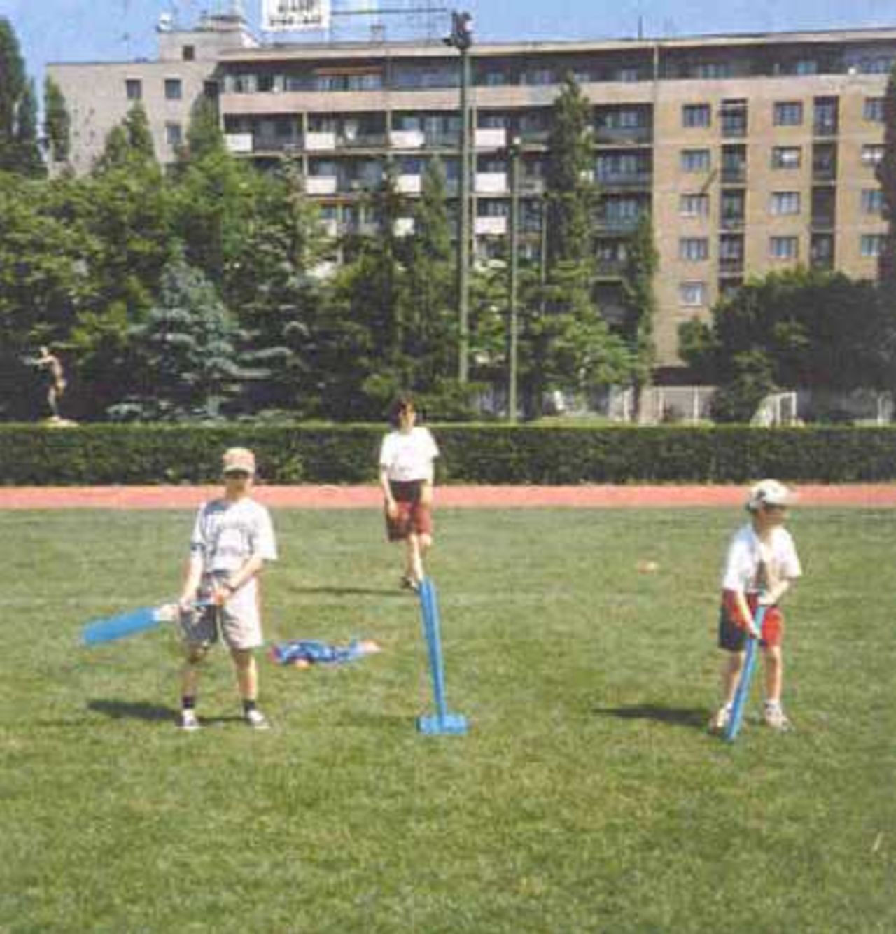 Cricket in Hungary