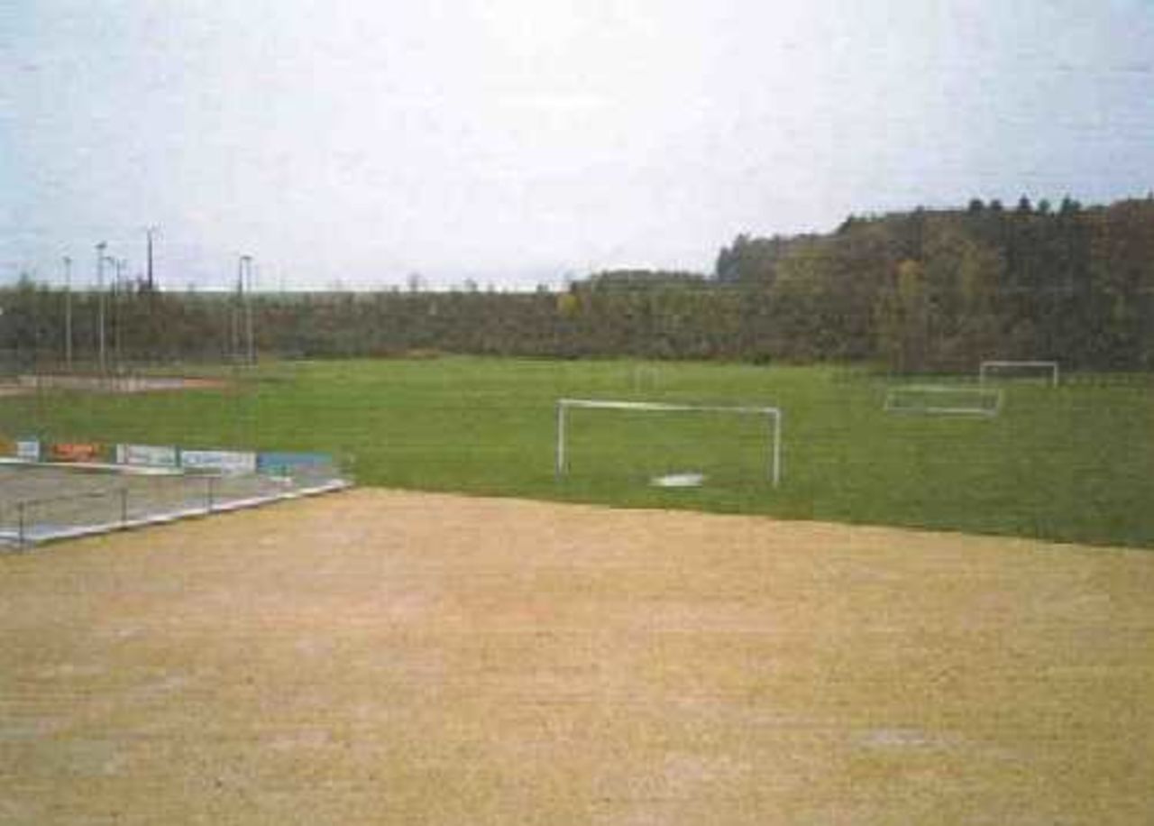 Cossonay Cricket, Switzerland