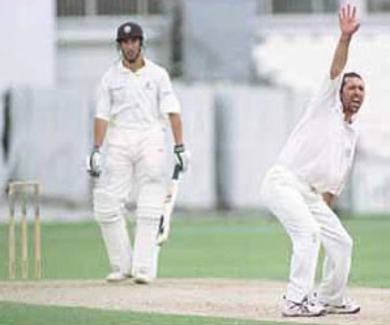 Joe Scuderi makes a successfull shout for leg before against Ben Hollioake, PPP healthcare County Championship Division One, 2000, Surrey v Lancashire, Kennington Oval, London, 02-05 August 2000(Day 1).