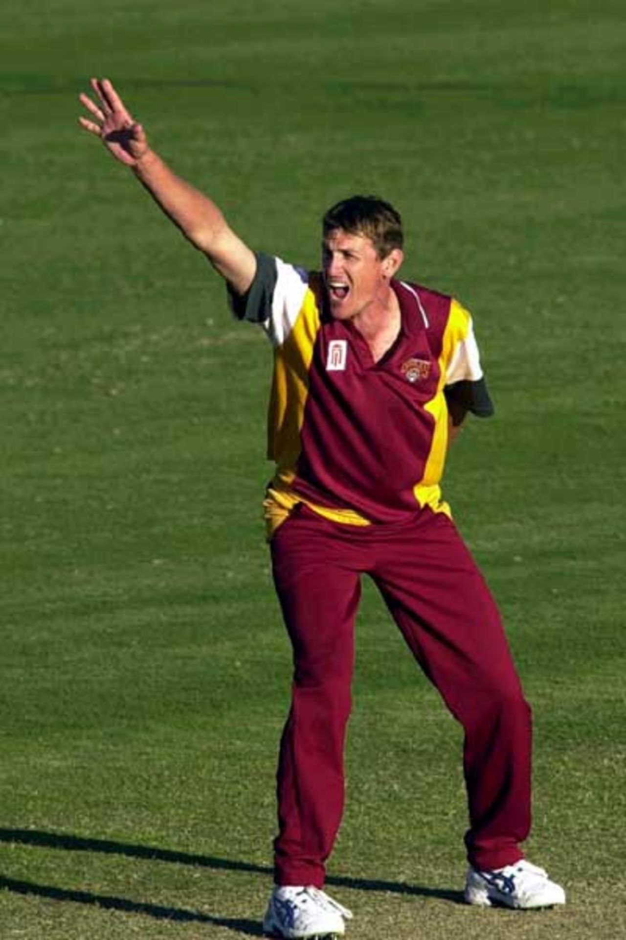 15 Aug 2000: Brendan Creevey of Queensland appeals unsuccessfully for the wicket of Craig McMillan of New Zealand during the New Zealand versus Queensland practice match at Allan Border Field in Brisbane, Australia. Queensland won the game by 23 runs.
