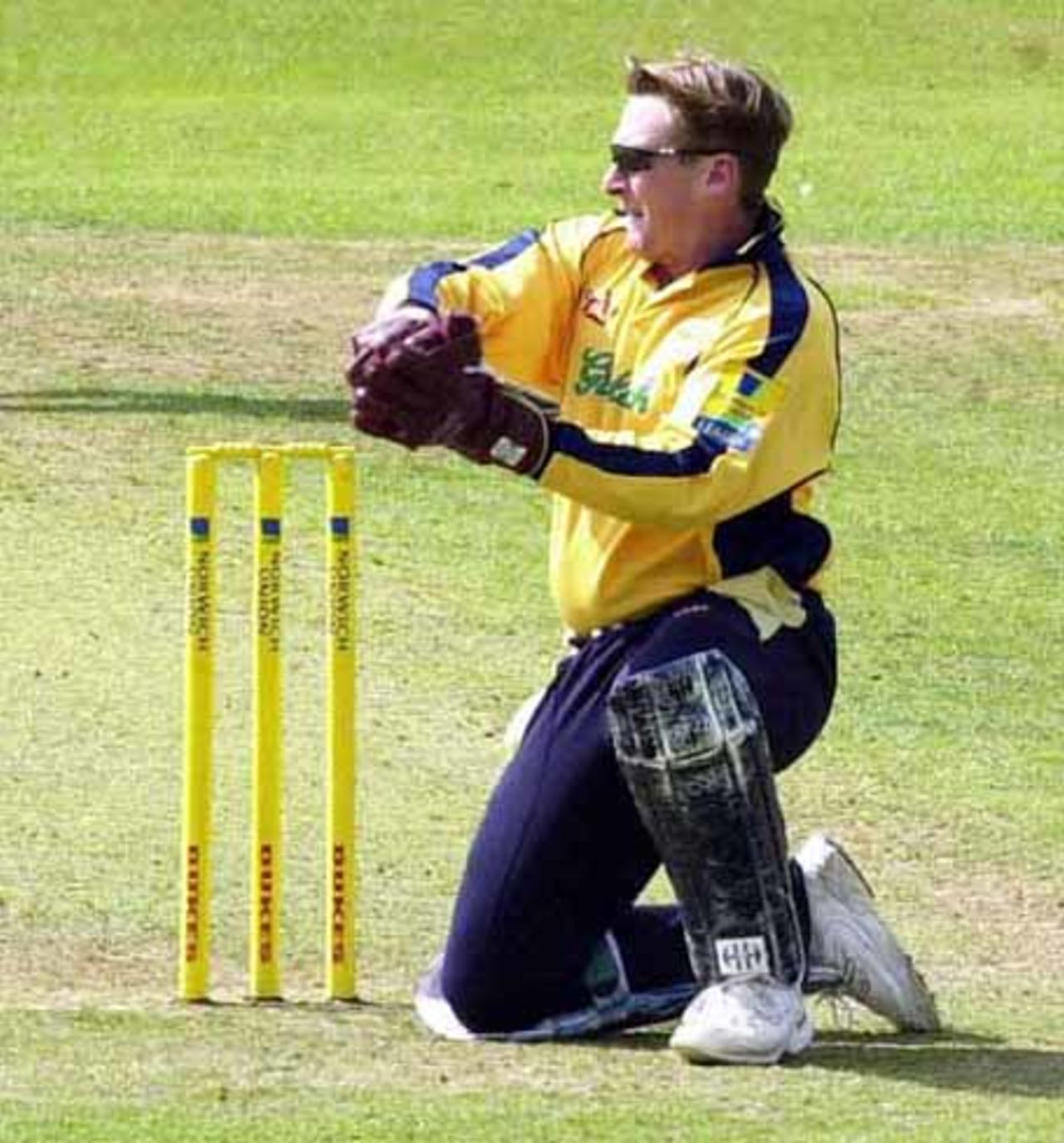 Derbyshire v Hants , National League, Div 2, Derby 5th August 2001