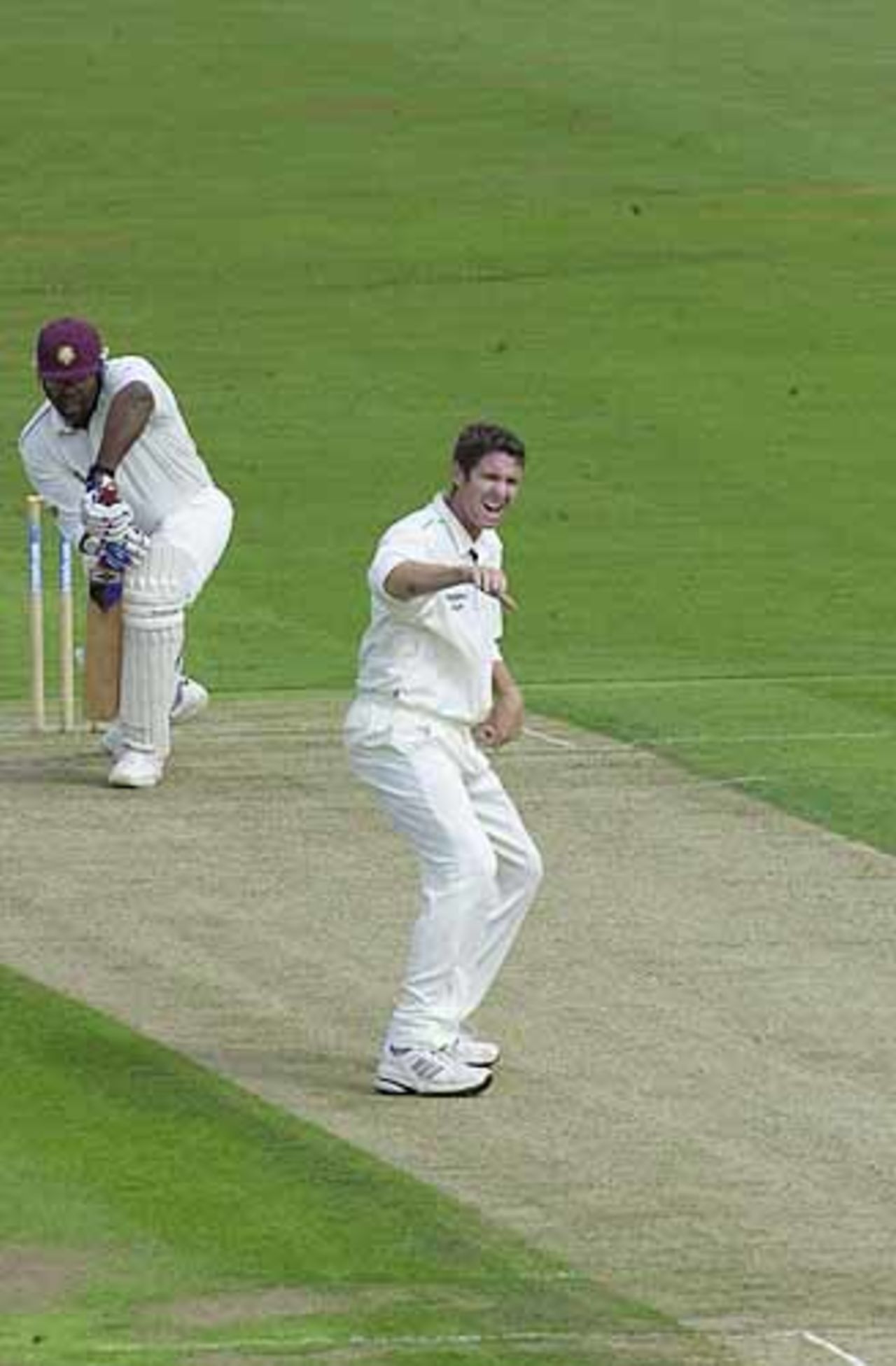 Bowler Ben Trott seems to give his own lbw appeal against Rollins the thumbs down, CricInfo Championship, 8th August 2001