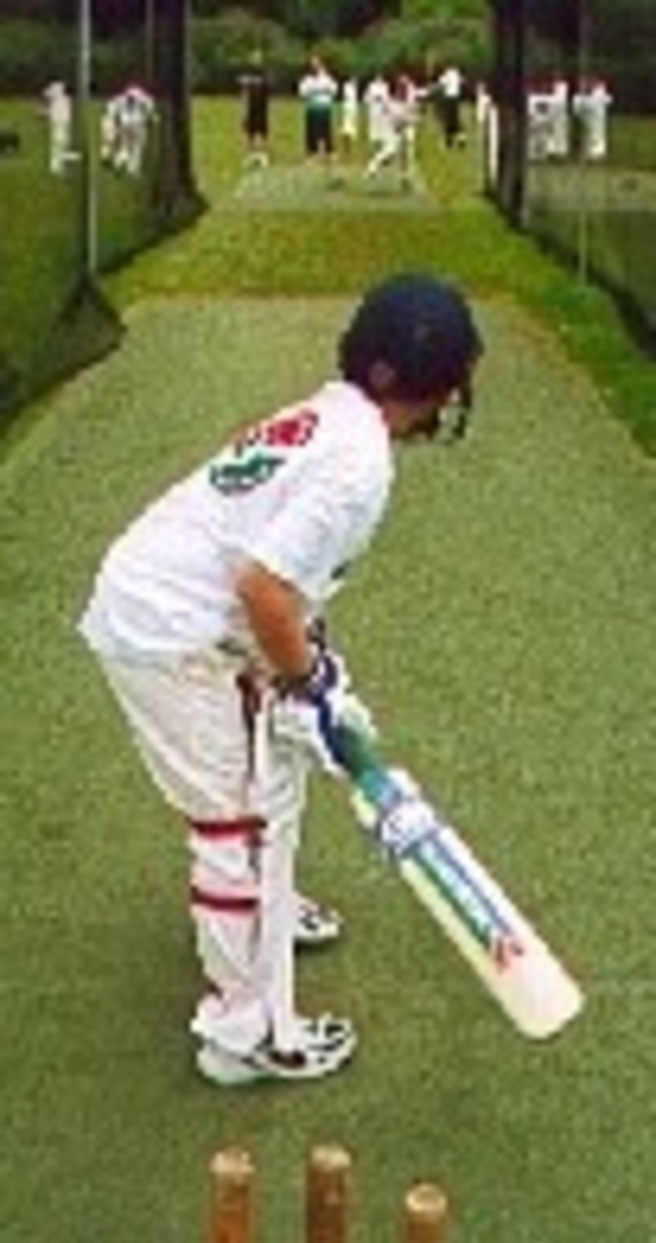 Cricket Day 2001 in Ireland