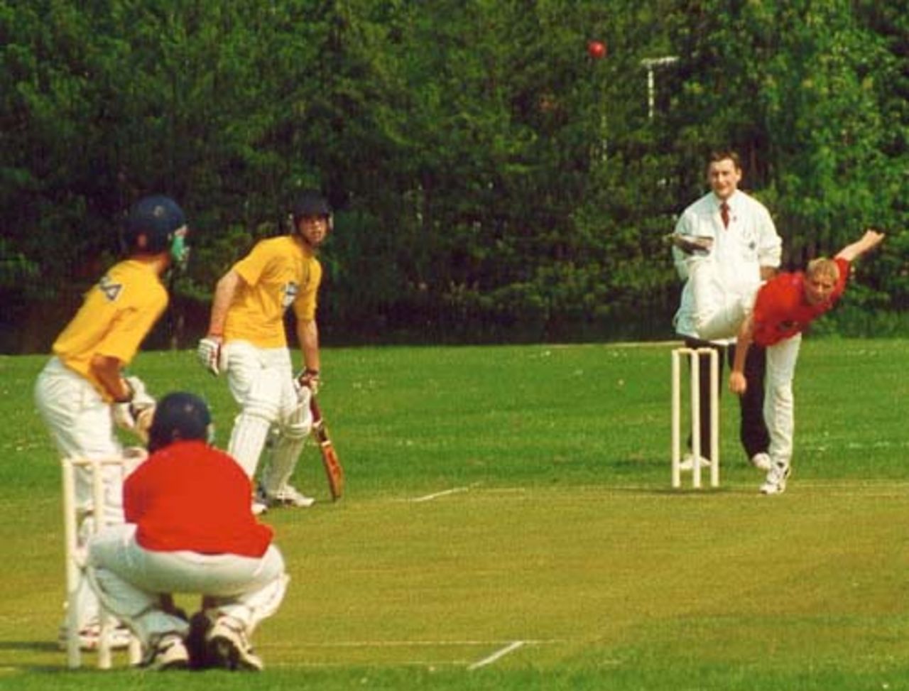 Cricket Day 2001 in Ireland