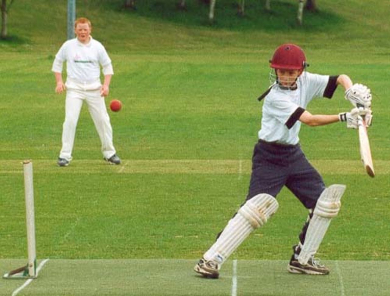 Cricket Day 2001 in Ireland