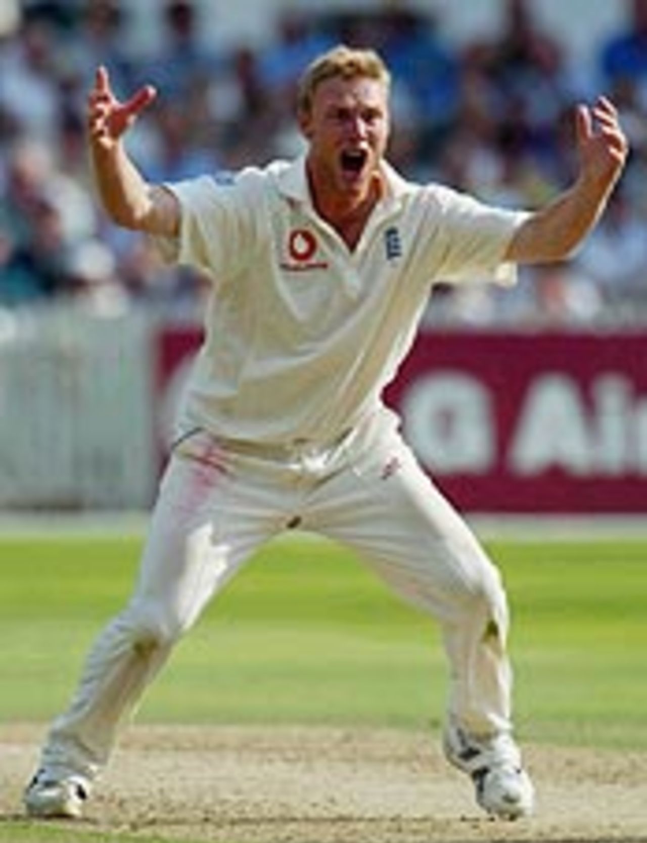 Freddie Flintoff appeals