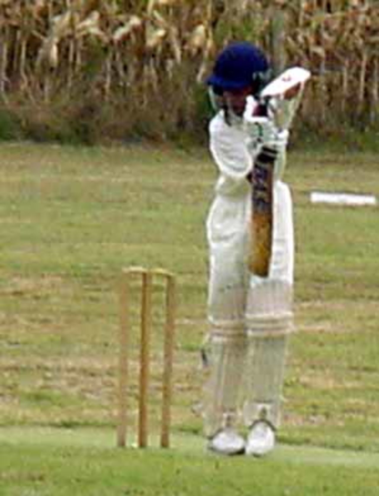 Raz Ben-Zaken plays cautiously during his innings of 55 against Greece.