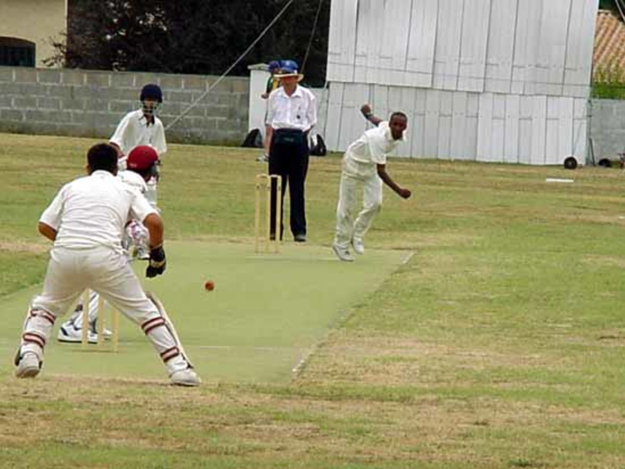 Michael Muchie bowling against Germany.