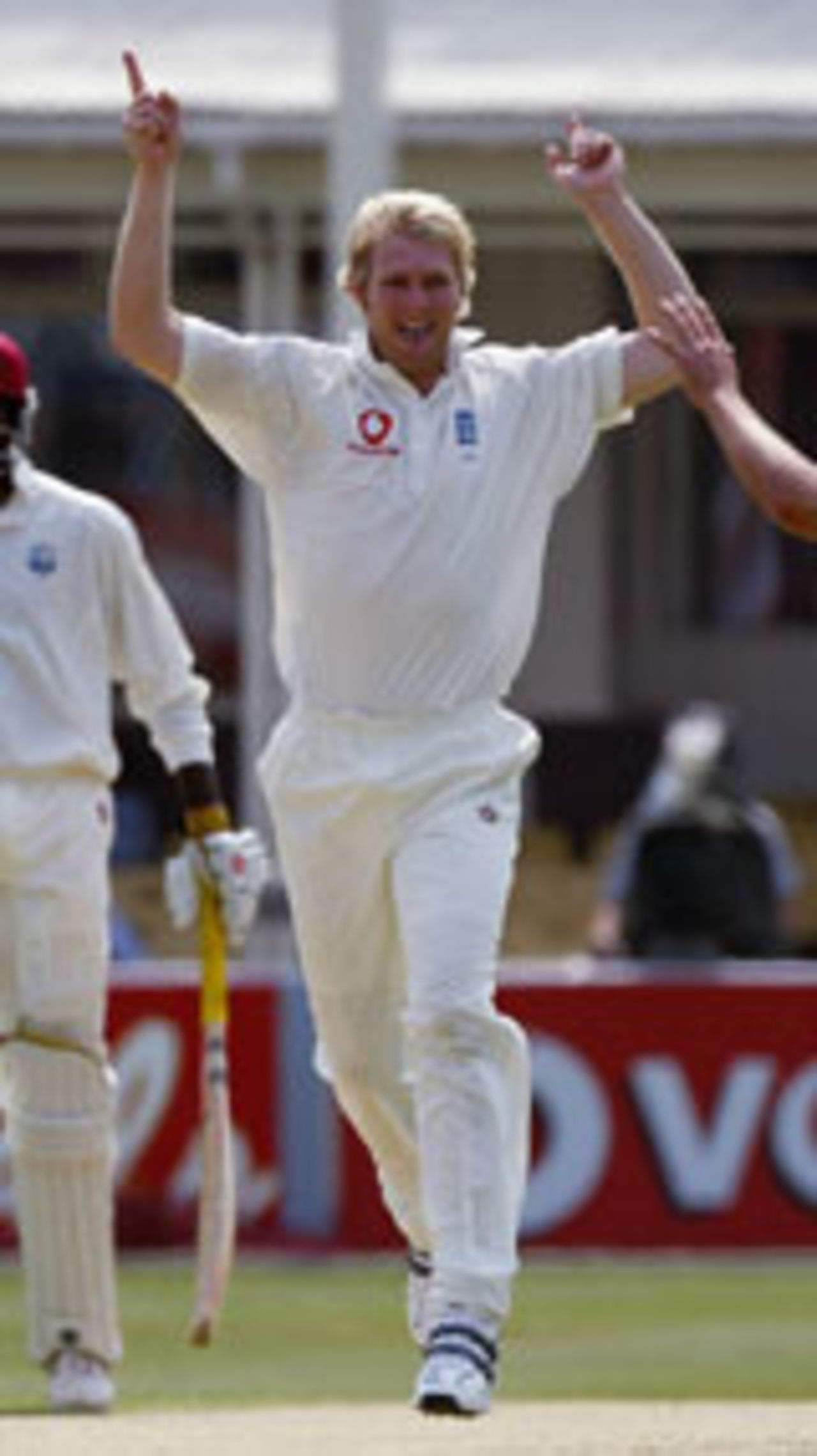 Matthew Hoggard celebrates the wicket of Devon Smith, England v West Indies, 2nd Test, Edgbaston, August 1, 2004