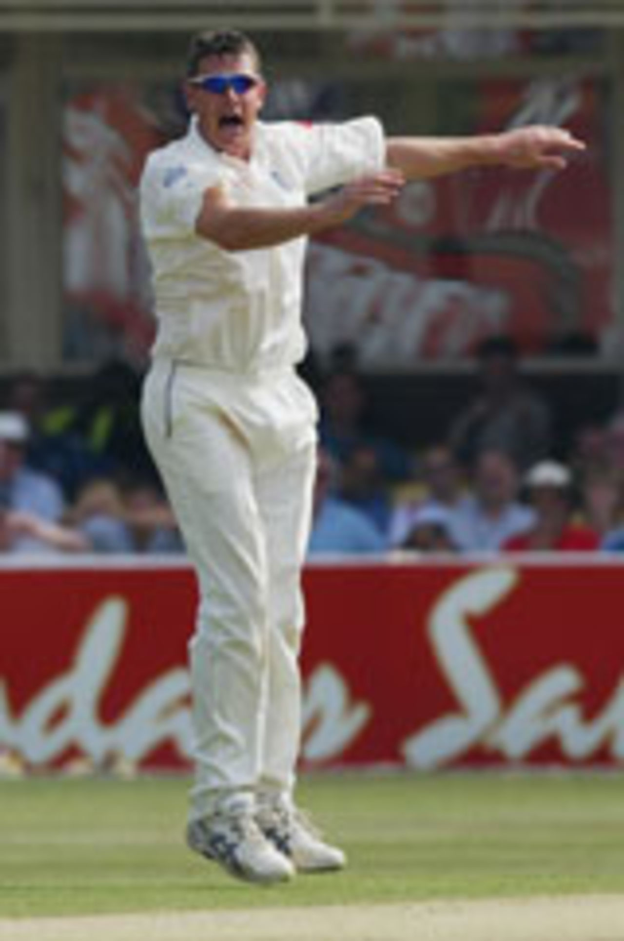 Ashley Giles celebrates another wicket, England v West Indies, 2nd Test, Edgbaston, August 1, 2004