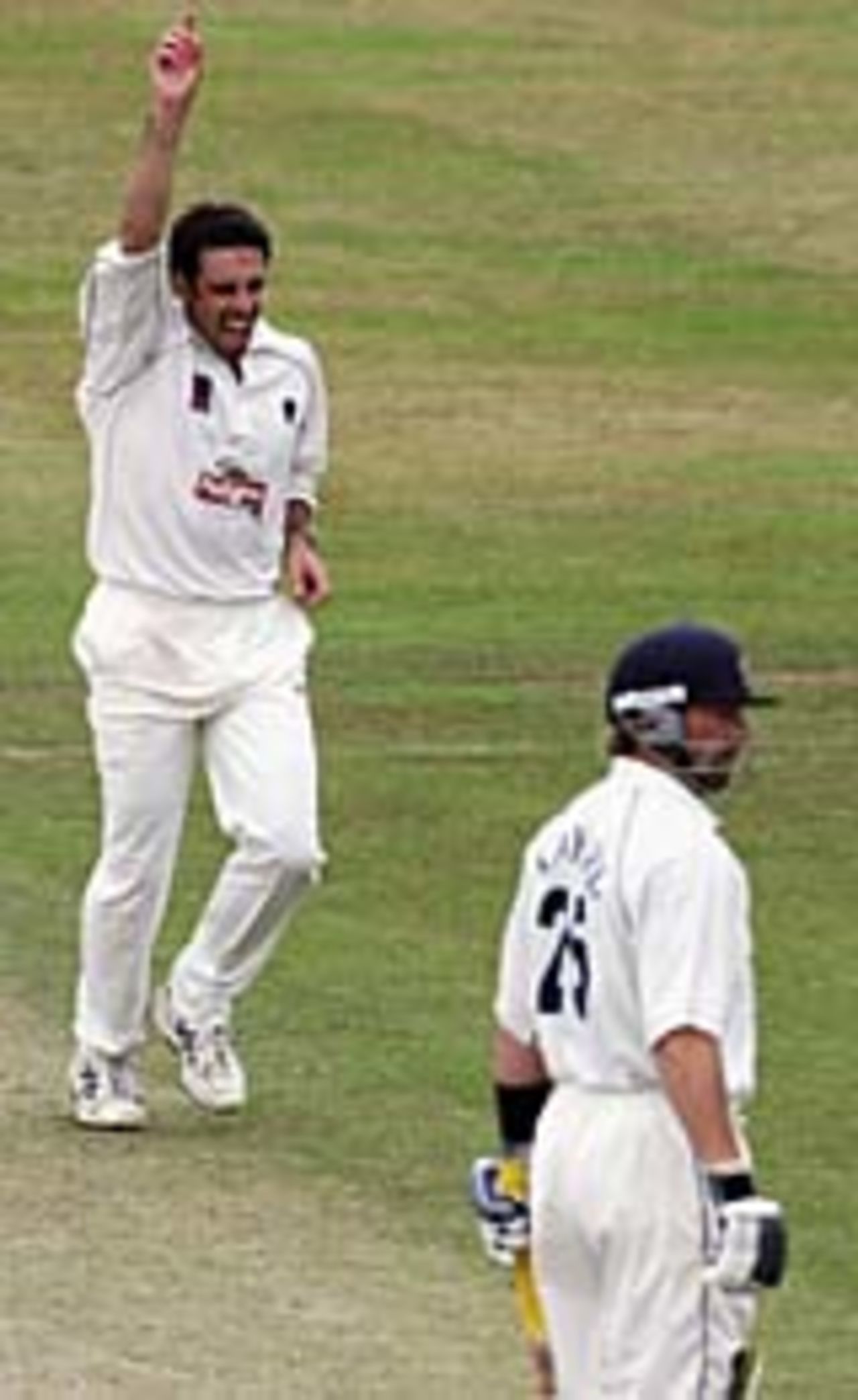 Simon Francis celebrates after taking the wicket of Matthew Maynard, Somerset v Glamorgan, Taunton, August 3, 2004