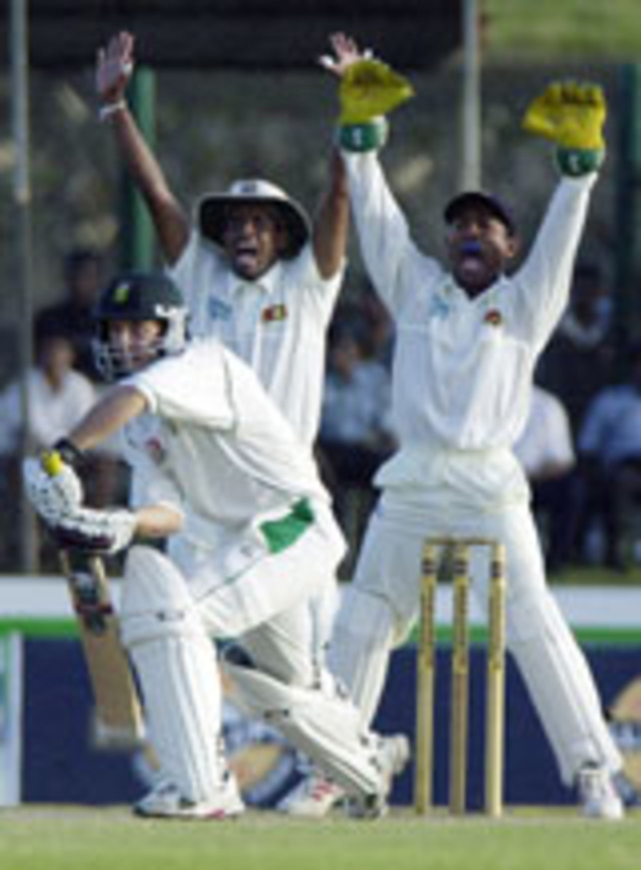 Boeta Dippenaar survives a loud appeal, Sri Lanka v South Africa, 1st Test, Galle
