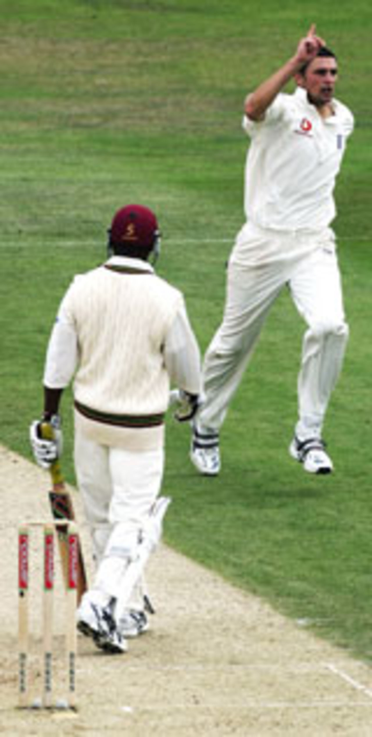 Steve Harmison celebrates a wicket, England v West Indies, 4th Test, The Oval, August 20 2004