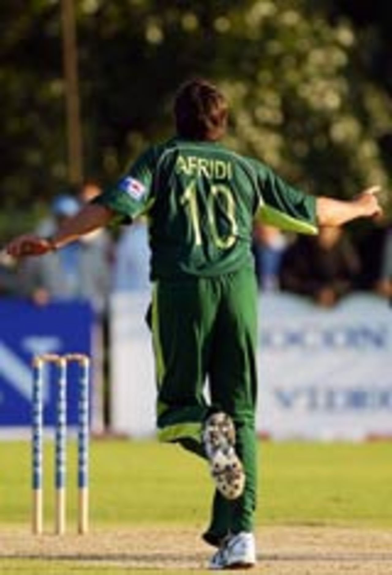 Shahid Afridi celebrates a wicket, India v Pakistan, 1st match, Videocon Cup, Amstelveen, August 21, 2004