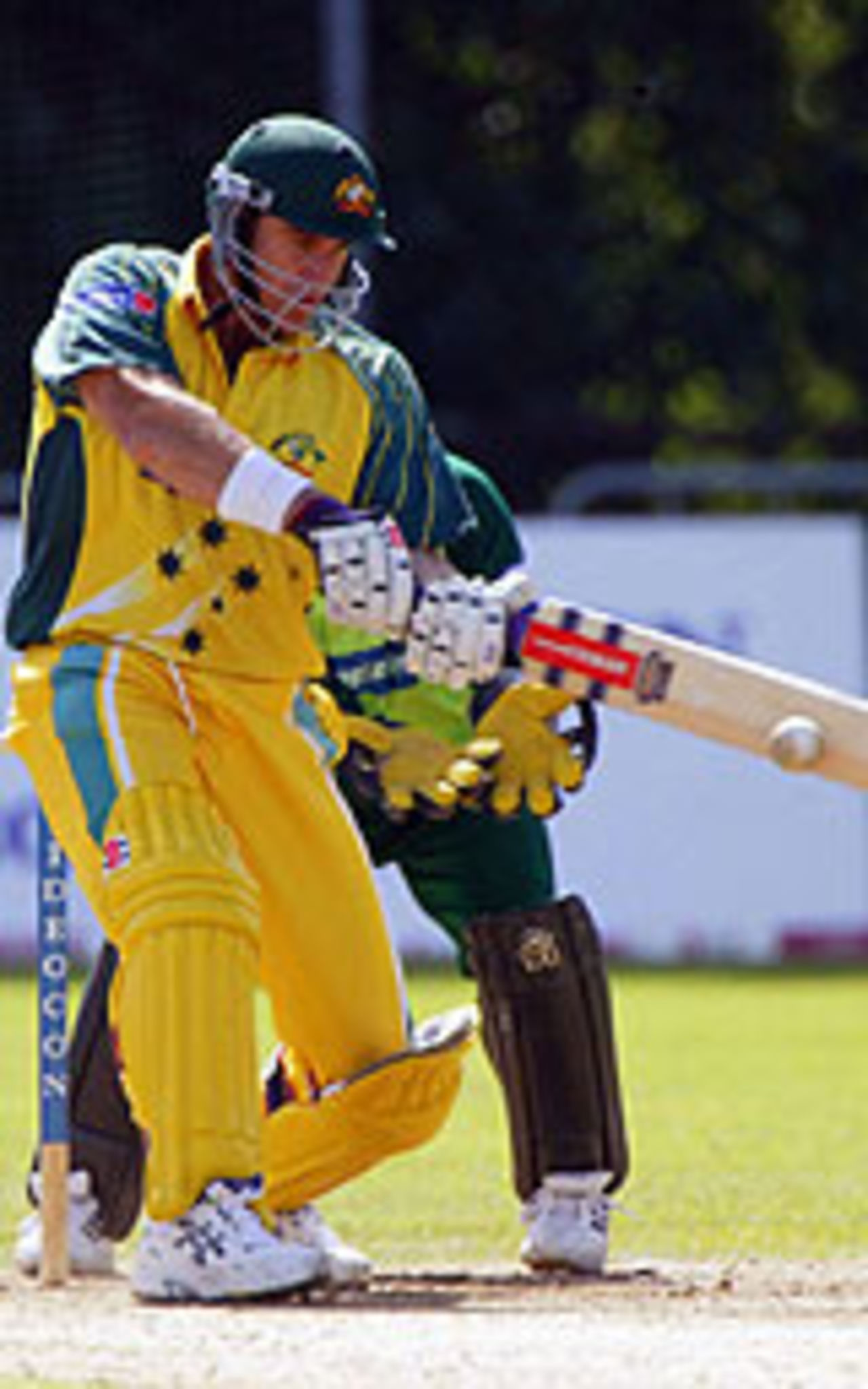 Matthew Hayden in action, Australia v Pakistan, Videocon Cup, Final, August 28, 2004