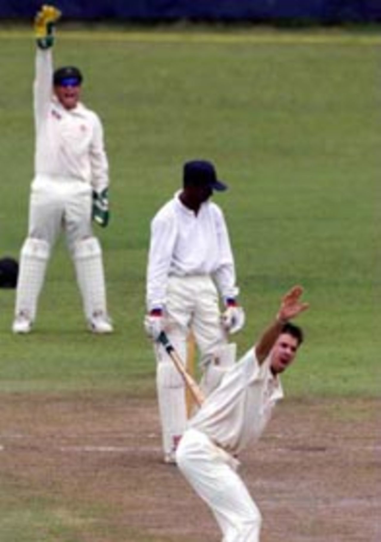 5 Sep 1999: Ian Healy (top) and Greg Blewett of Australia appeal against Russel Arnold of the Board XI, during day three of the tour match between the Sri Lanka Board XI and Australia at Saravanamuttu Stadium, Colombo, Sri Lanka.