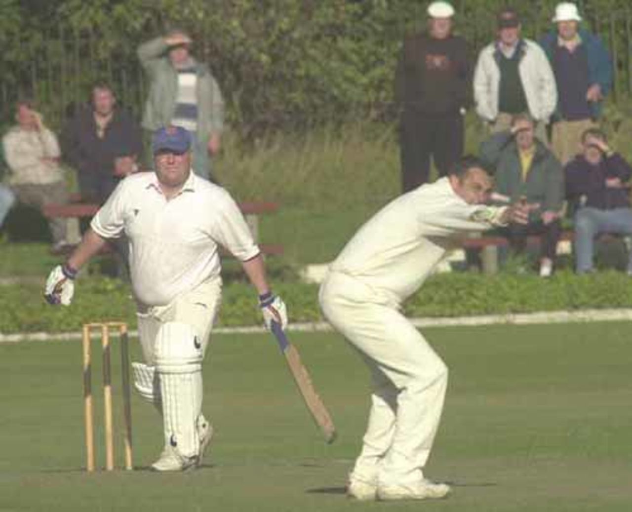 Young appeals for lbw against Matt Hope
