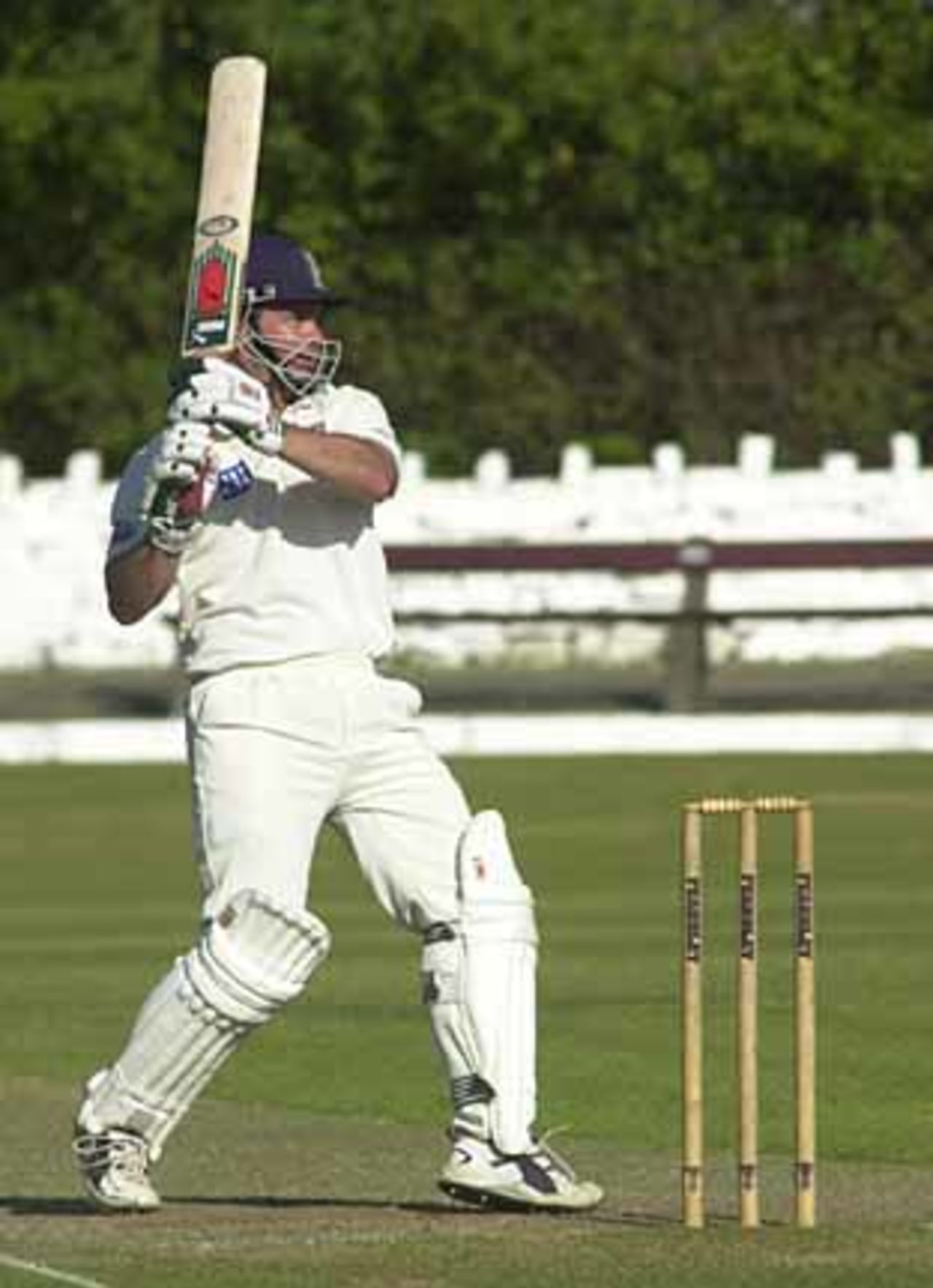 Matthew Mott