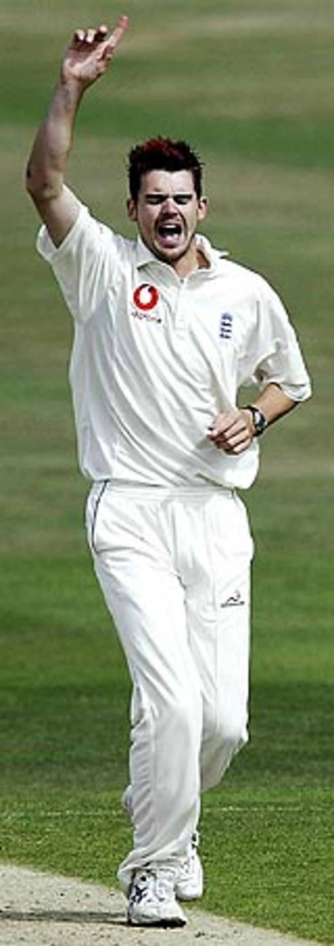 James Anderson - a knee injury puts his tour place in doubt