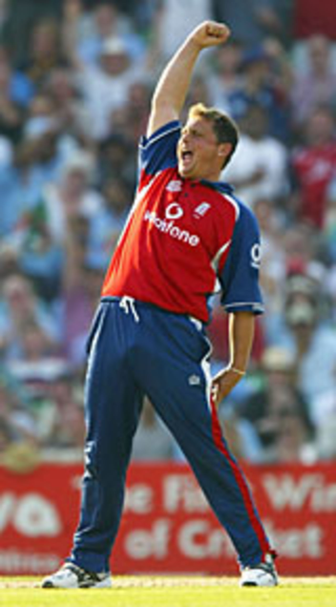 Darren Gough appeals successfully for the wicket of Virender Sehwag, England v India, NatWest Challenge, September 3 2004