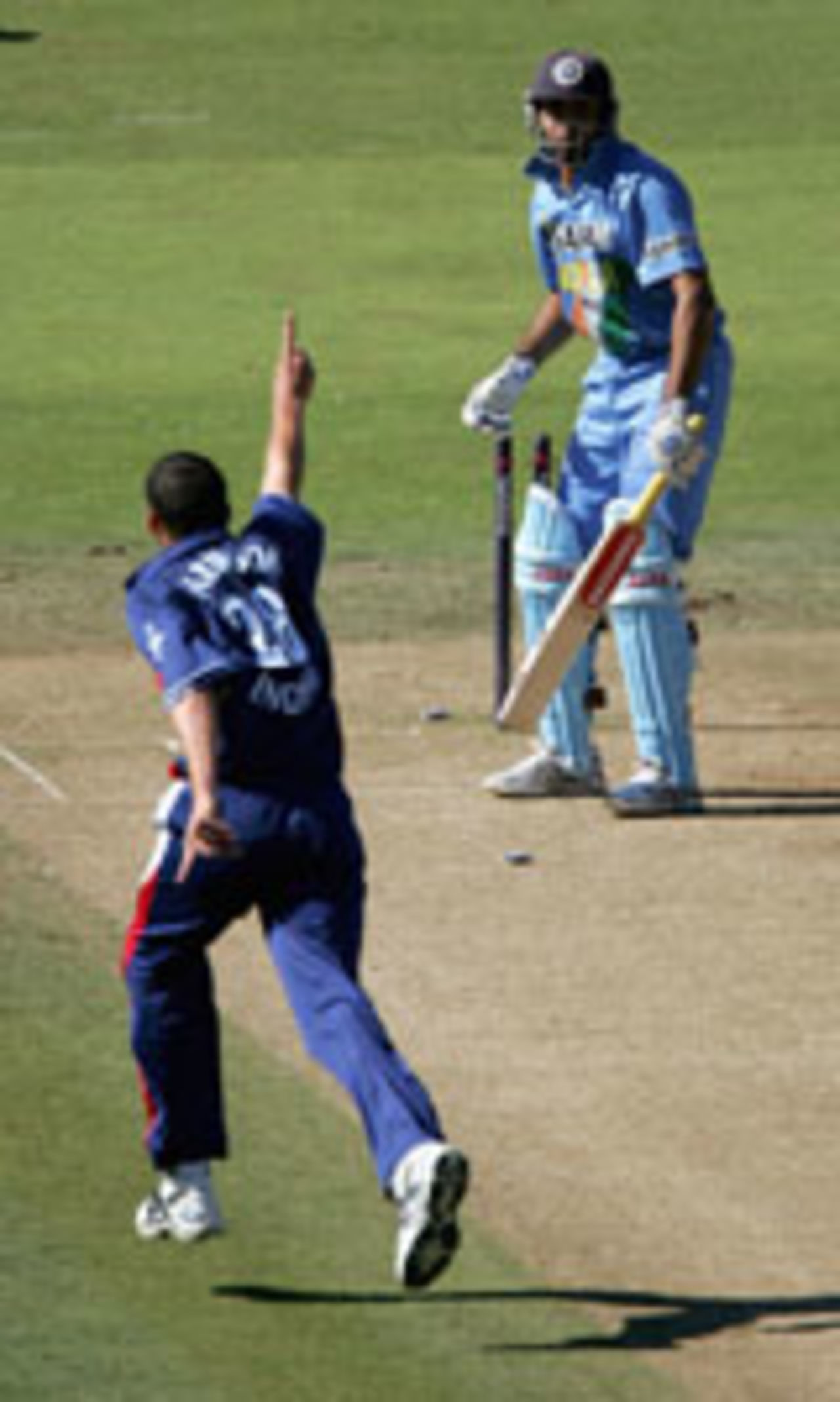 Steve Harmison celebrates the dismissal of VVS Laxman, England v India, 3rd ODI, NatWest Challenge, September 5 2004
