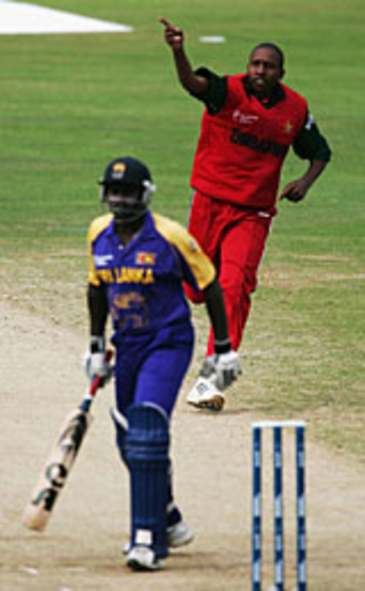 Tinashe Panyangara celebrates the wicket of Saman Jayantha, Sri Lanka v Zimbabwe, The Oval, September 14, 2004