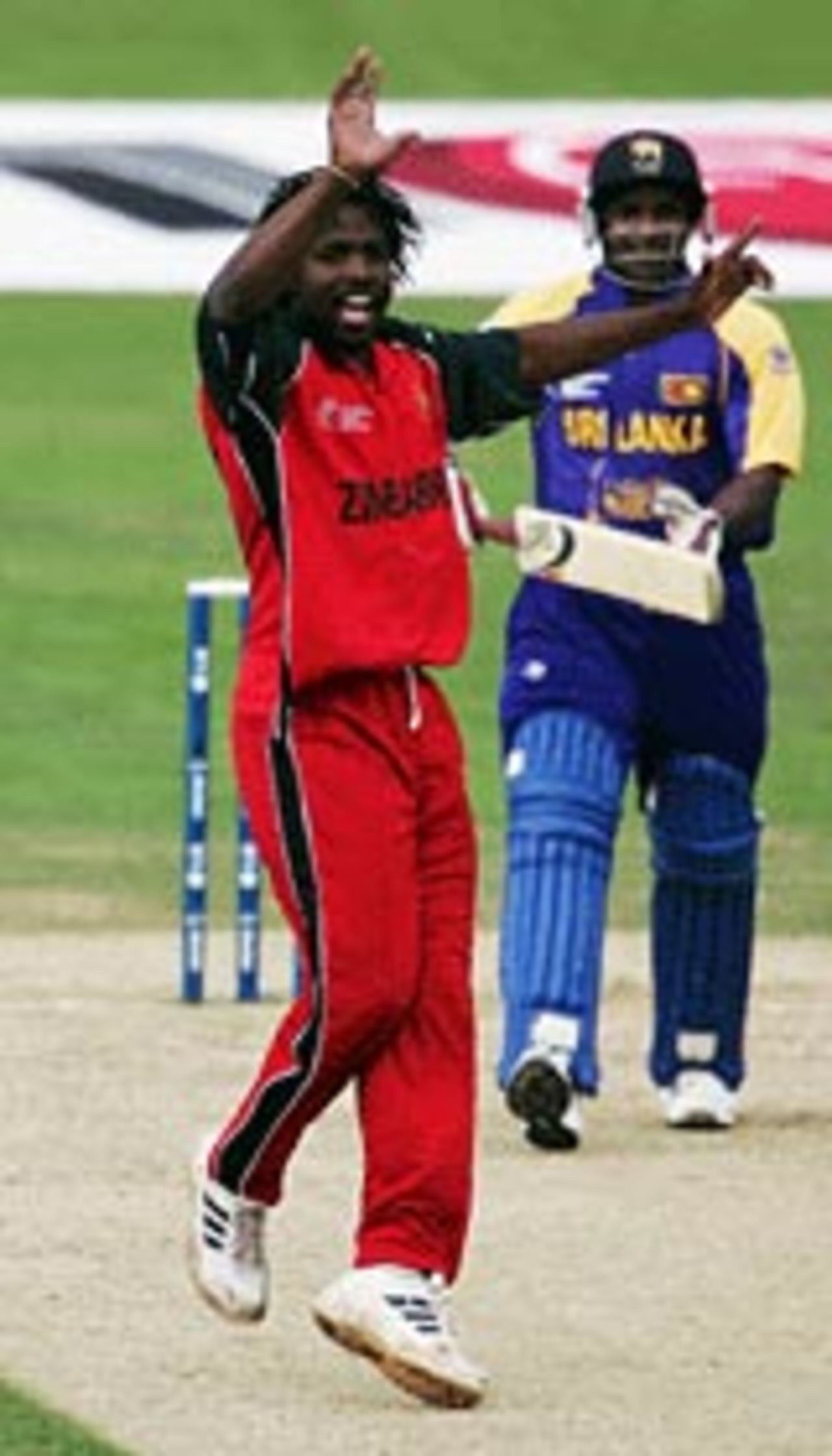 Douglas Hondo celebrates a wicket, Sri Lanka v Zimbabwe, The Oval, September 14, 2004