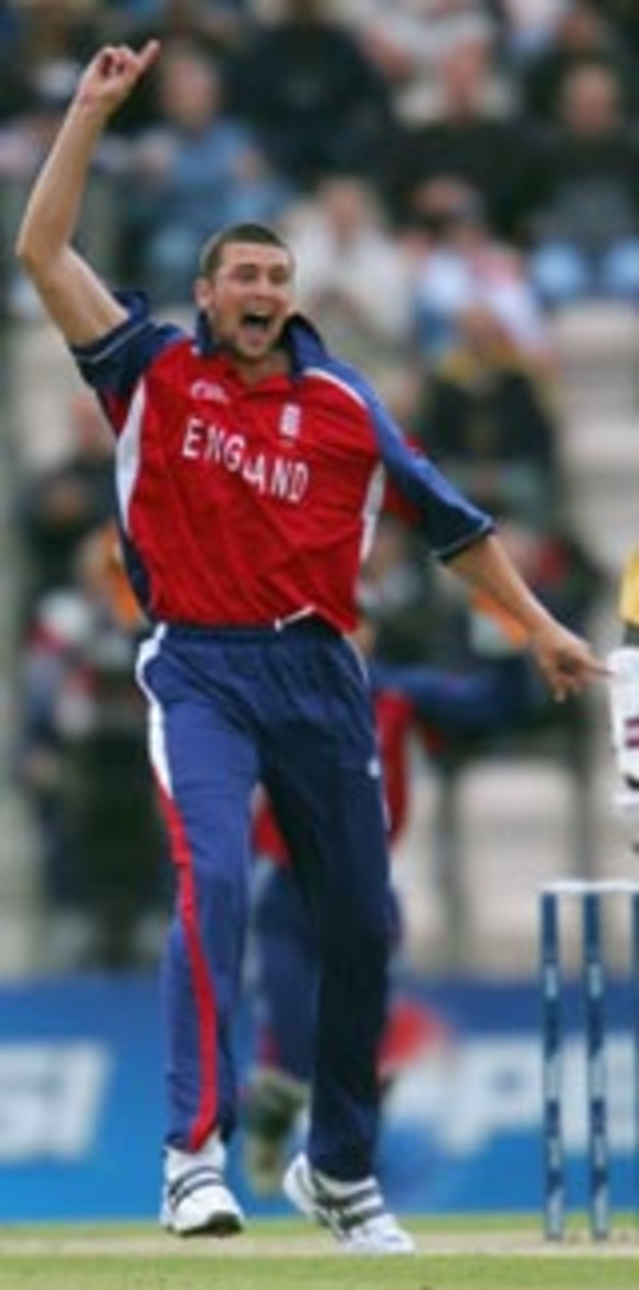 Steve Harmison appeals for a wicket, England v Sri Lanka, ICC Champions Trophy, September 18 2004