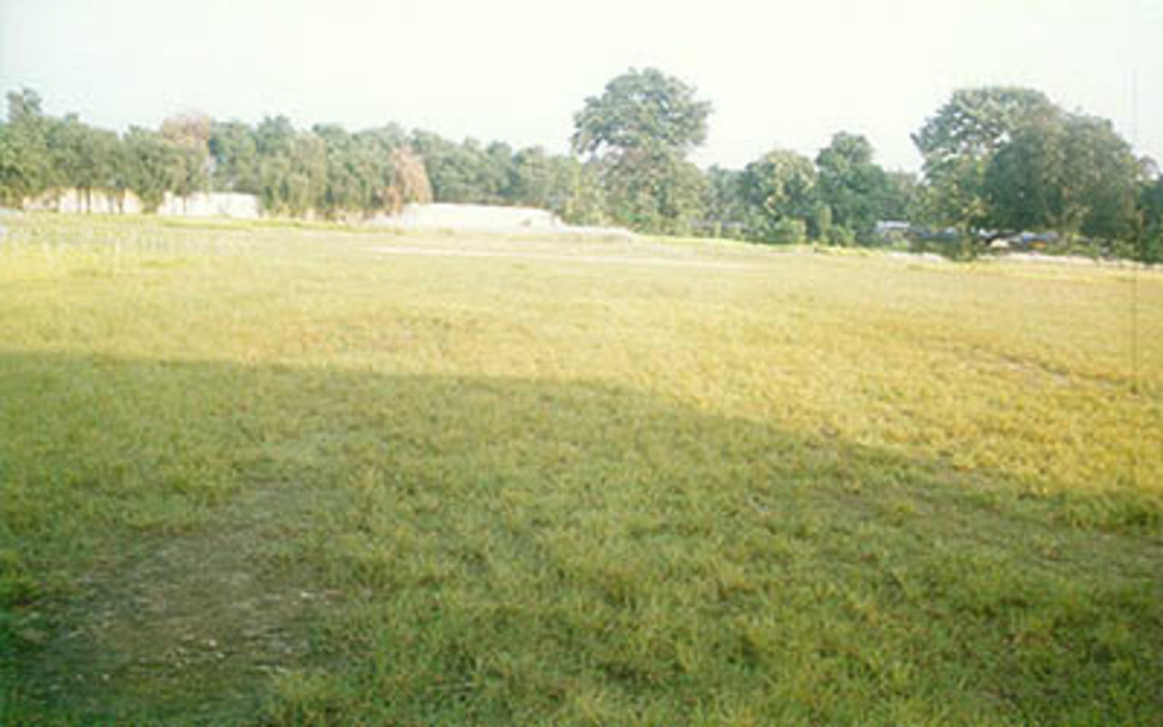 The cross section of the turf at the Lalit Hari Stadium, Pilibhit, Uttar Pradesh.