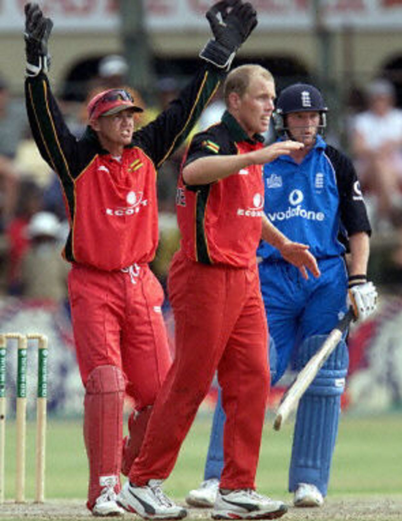 Zimbabwe v  England, 3rd ODI, Harare Sports Club, 7 October 2001