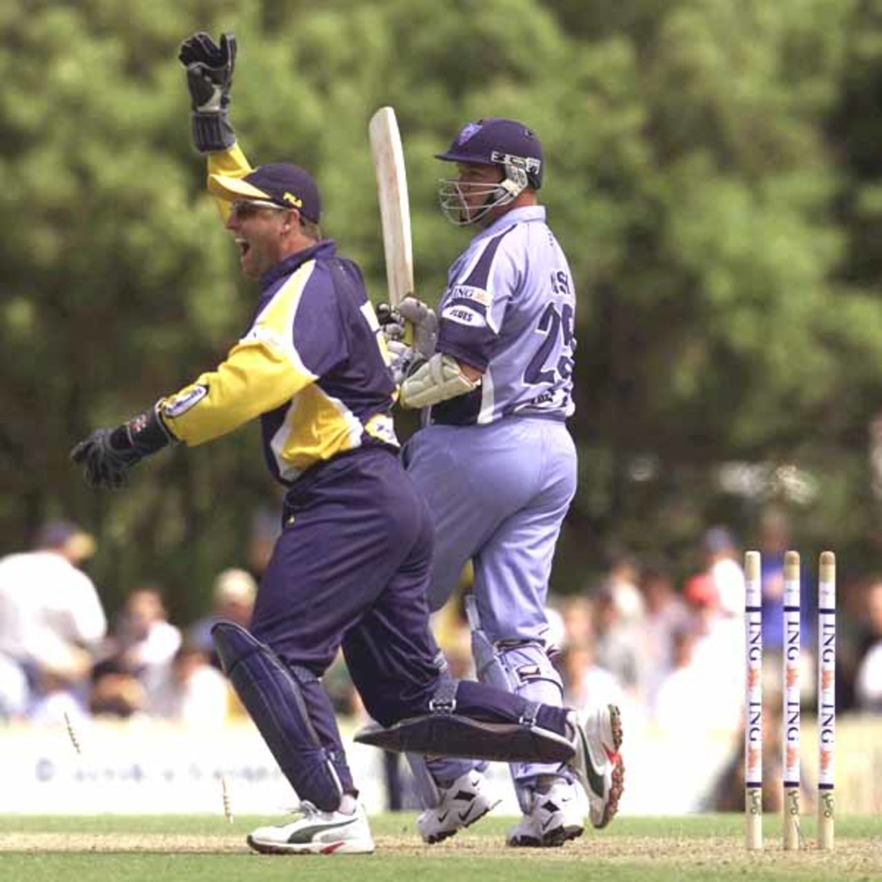 07 Oct 2001: Don Nash of the Blues is stumped by Victorian wicketkeeper Darren Berry during the New South Wales Blues v Victorian Bushrangers ING Cup match played at Bankstown Oval in Sydney, Australia.