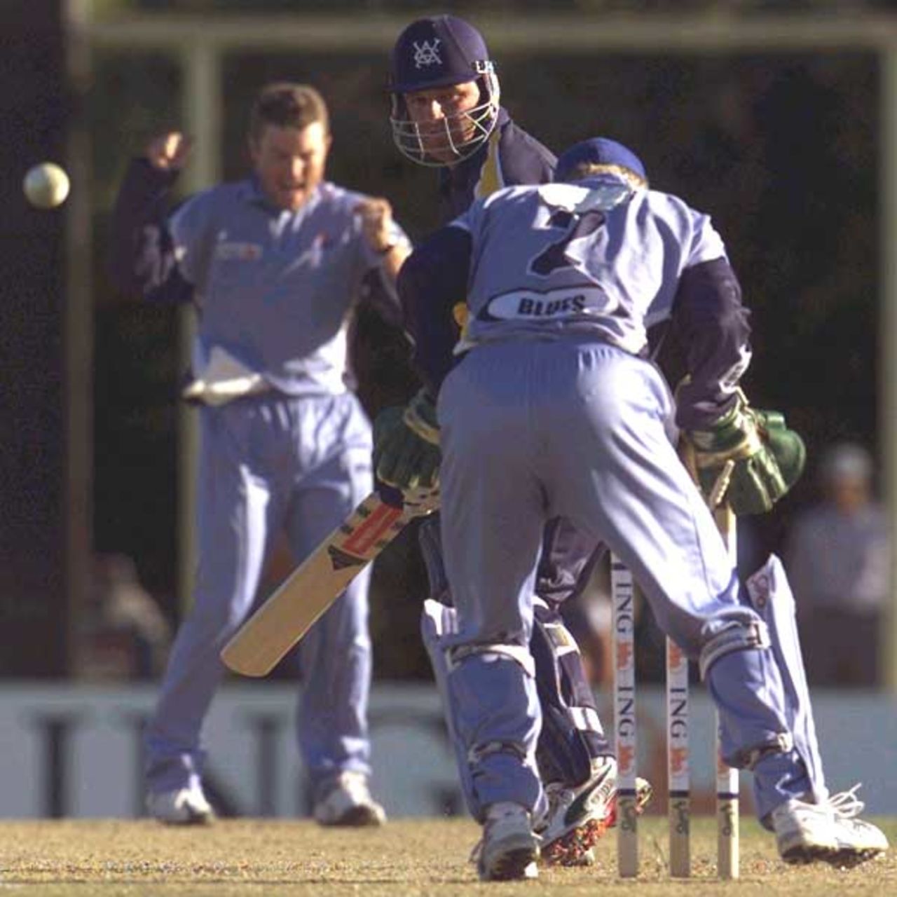 07 Oct 2001: Stuart MacGill of the Blues celebrates after bowling Darren Berry of Victoria during the New South Wales Blues v Victorian Bushrangers ING Cup match played at Bankstown Oval in Sydney, Australia