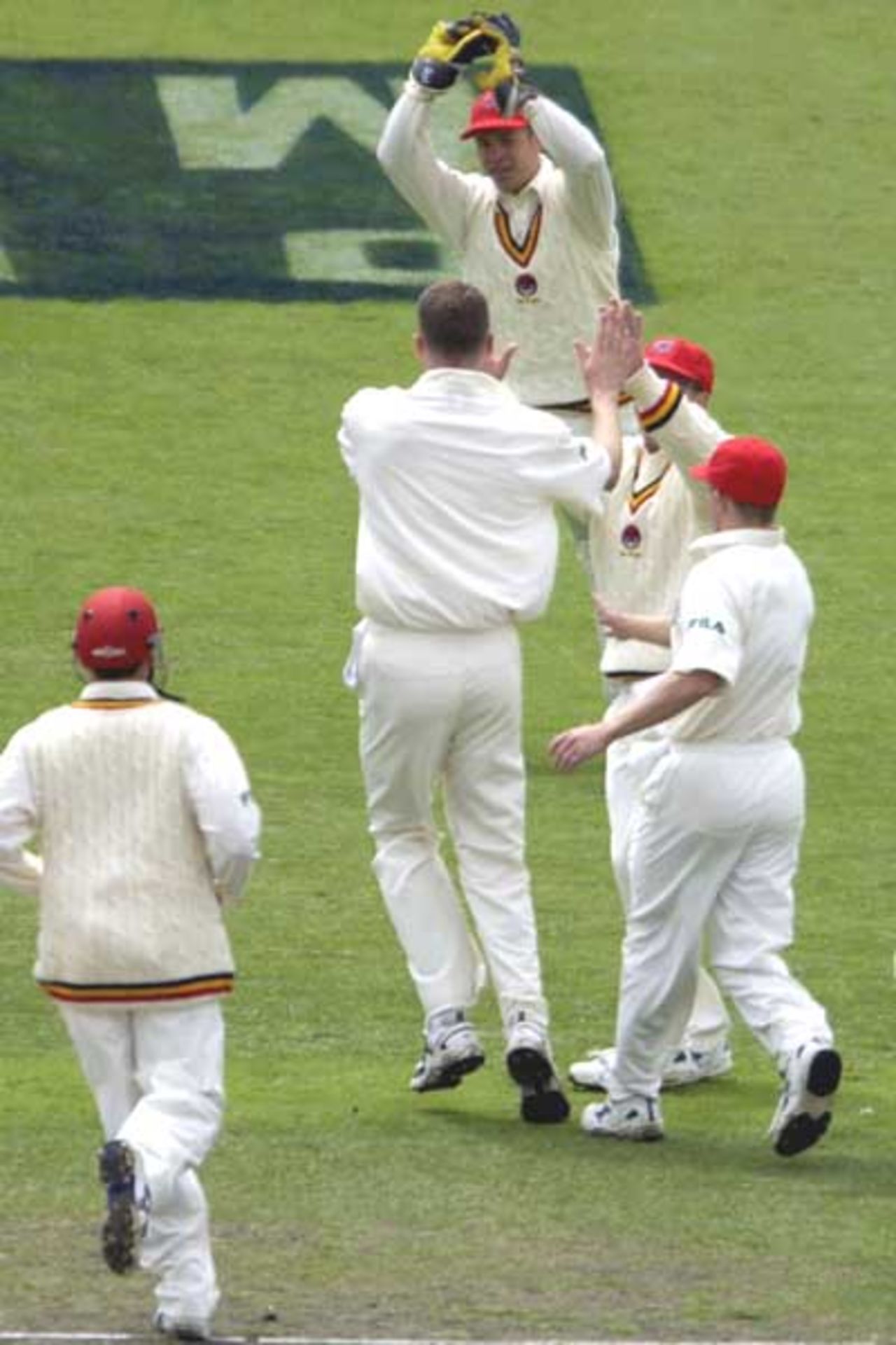 17 Oct 2001: South Australian fieldsmen celebrate with bowler Paul Rofe after he had Victorian batsman Matthew Mott out caught by SA 'keeper Justin Manou (top) in the Pura Cup match between the Southern Redbacks and the Victoria Bushrangers played at Adelaide Oval, Adelaide, Australia.