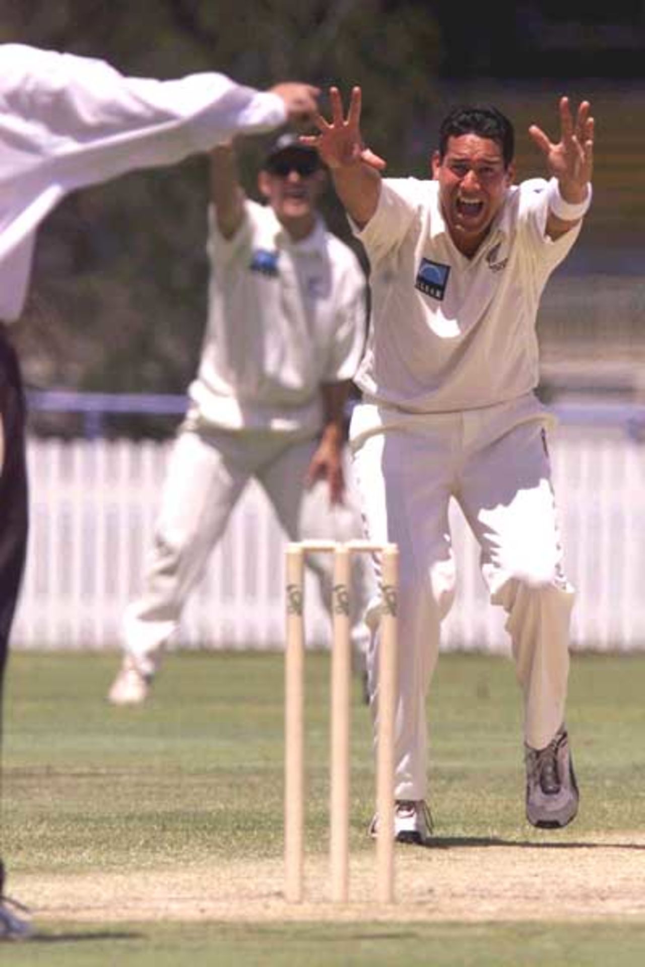 18 Oct 2001: Daryl Tuffey of New Zealand takes the wicket of Chris Simpson of Queensland for lbw during the match between New Zealand and the Queensland XI played at the Allan Border Field, Brisbane, Australia.
