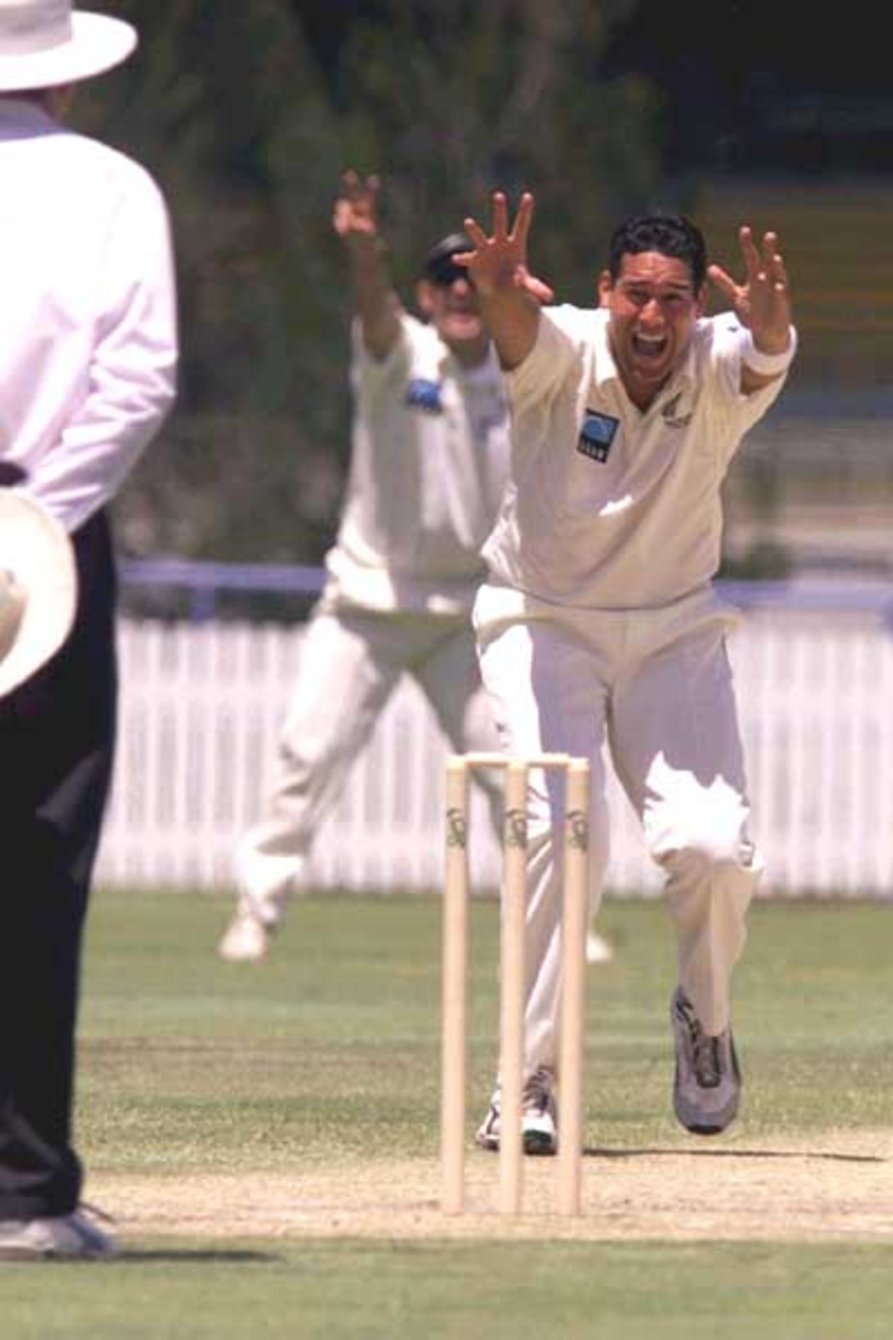 18 Oct 2001: Daryl Tuffey of New Zealand appeals for lbw during the match between New Zealand and the Queensland XI played at the Allan Border Field, Brisbane, Australia.