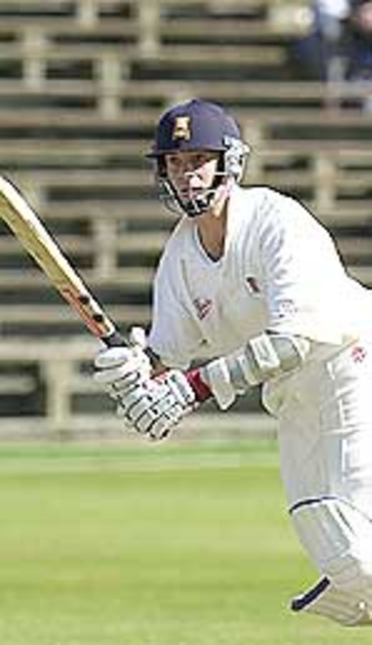 Taken in the 2001 CricInfo championship
