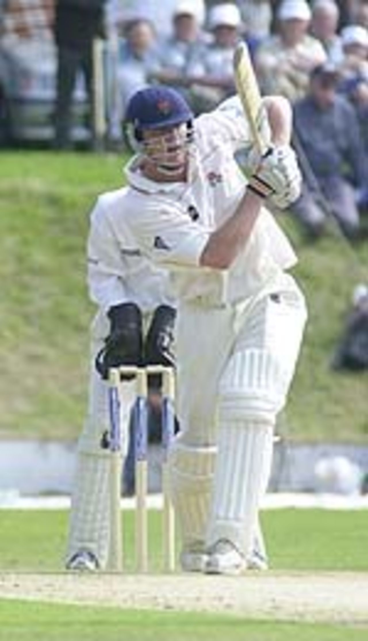 Taken in the 2001 CricInfo championship