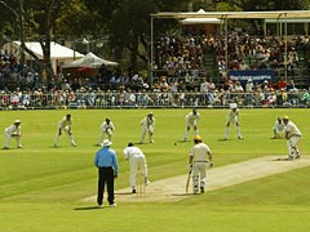 Heath Streak bowling, Chairman's XI v Zimbabwe, October 1, 2003