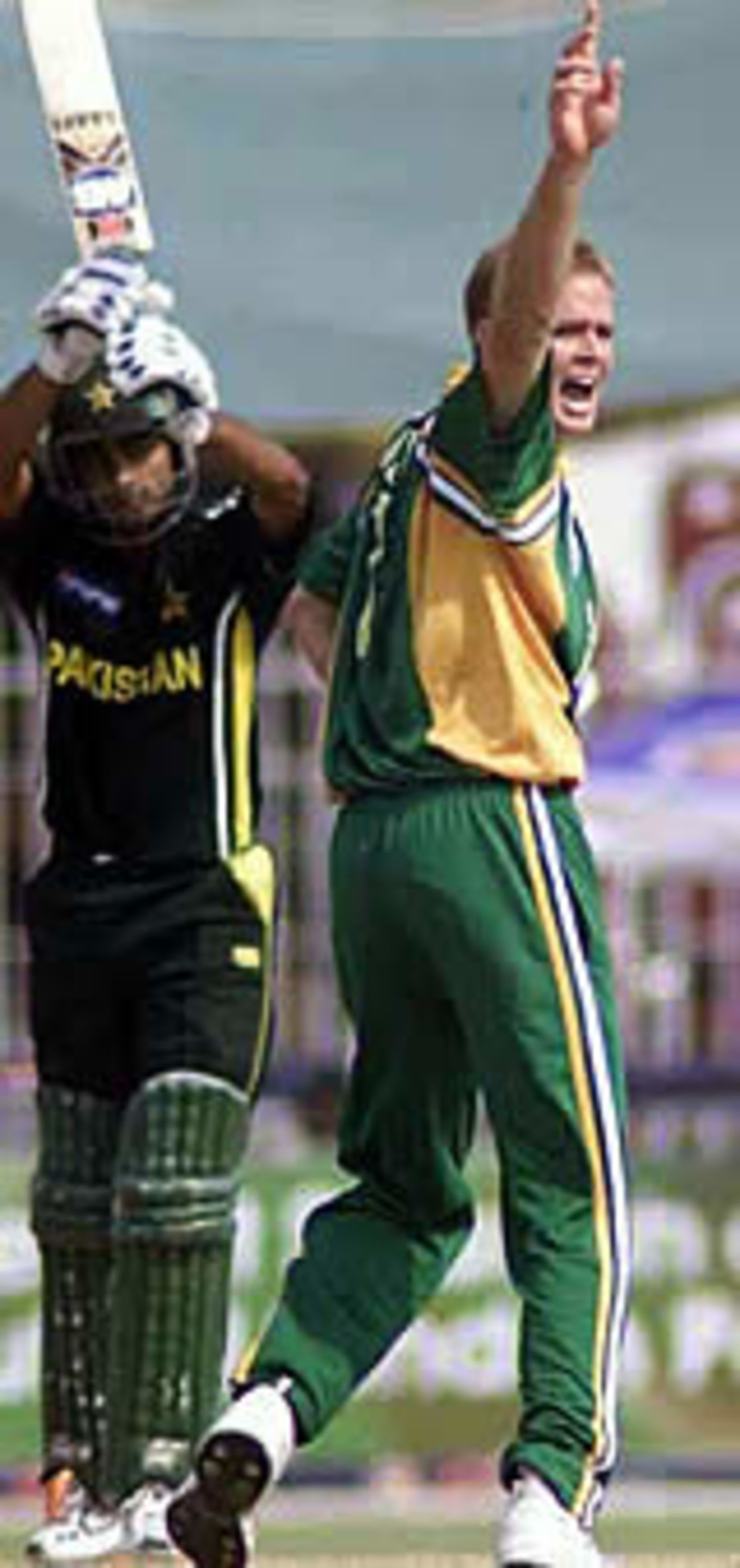Shaun Pollock with an unsuccessfull appeal for a lbw, Pakistan v South Africa, 3rd ODI, Faisalabad, October 7, 2003.