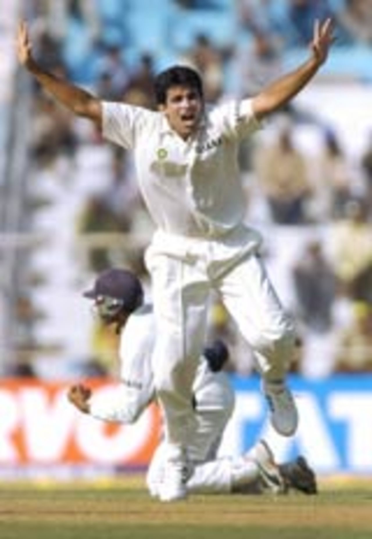 Zaheer Khan appeals vociferously in his fiery spell, 1st Test, Ahmedabad, 2nd Day