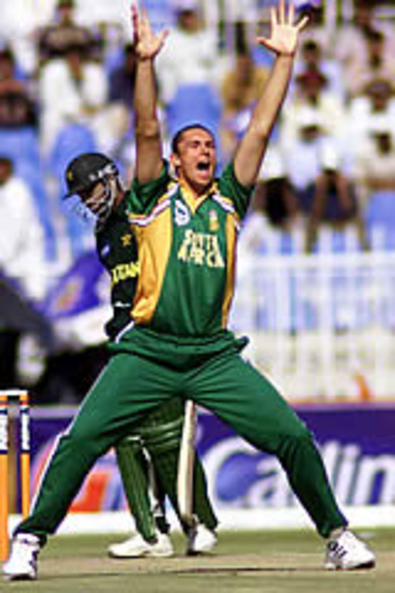 Andre Nel with an unsuccessful lbw appeal against Yousuf Youhana, Pakistan v South Africa, 5th ODI, Rawalpindi, October 12, 2003.