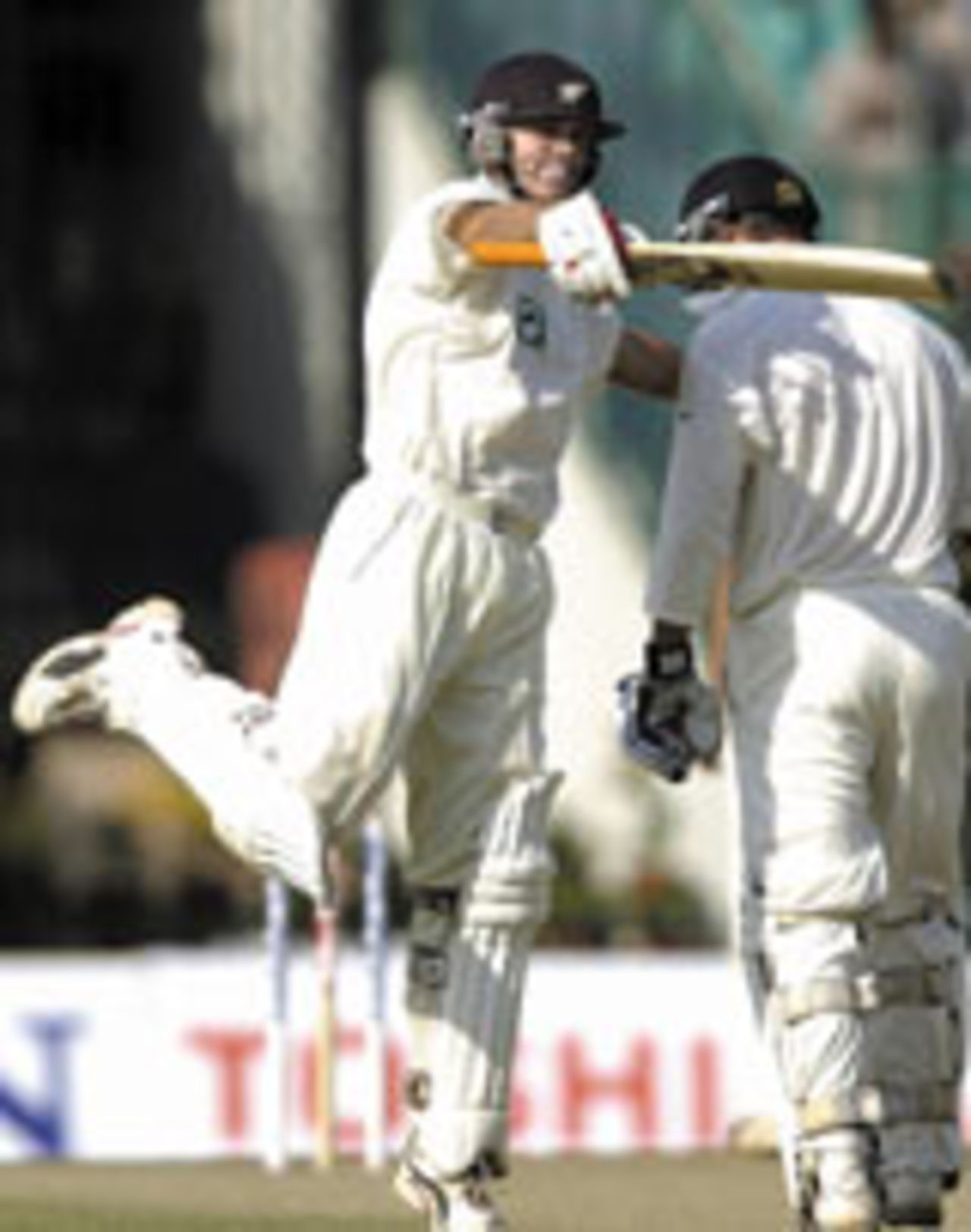 Lou Vincent celebrates after scoring his second Test hundred, India v New Zealand, 2nd Test, Mohali, 1st day, October 16, 2003