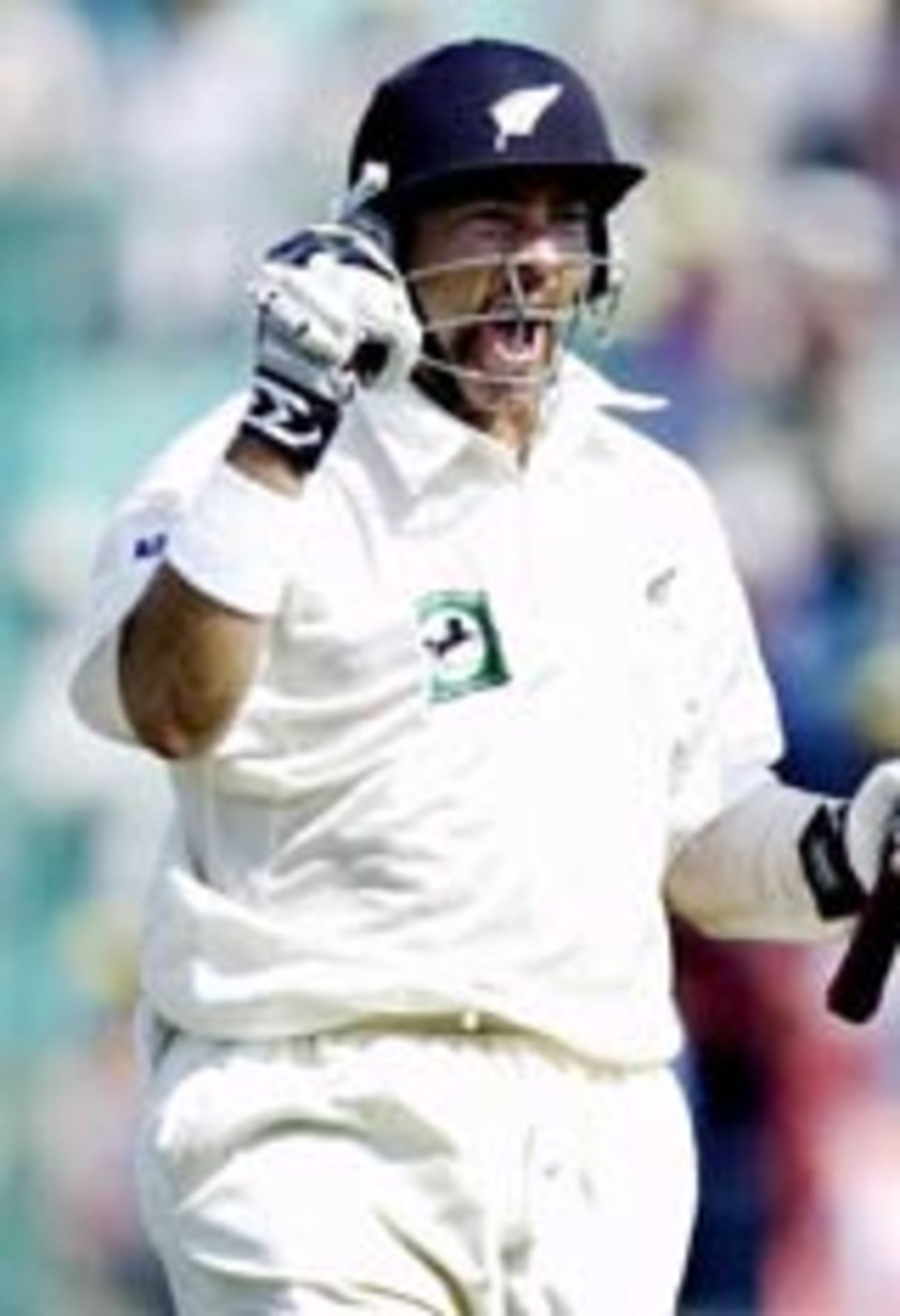 Craig McMillan celebrates his century, India v New Zealand, 2nd Test, Mohali, October 18